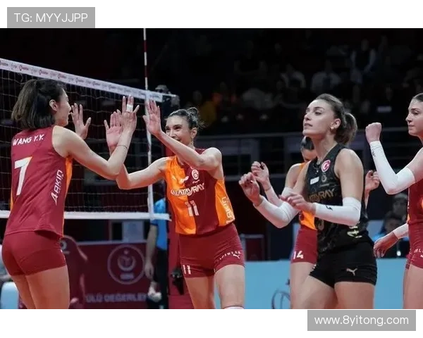 女排副攻进攻起伏拦网进步明显