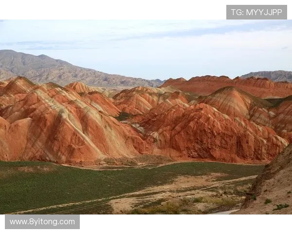 大连可为官宣王释涵原深青门将